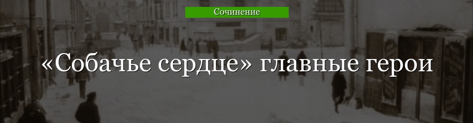 «Собачье сердце» главные герои