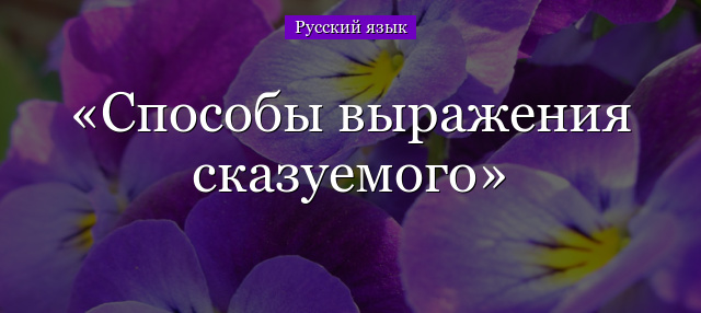 Способы выражения сказуемого