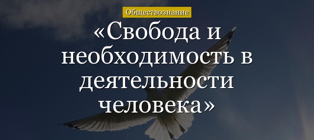 Свобода и необходимость в деятельности человека