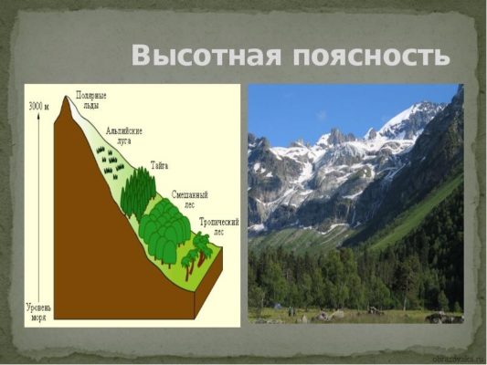 Таблица “Природные зоны (4 класс)”