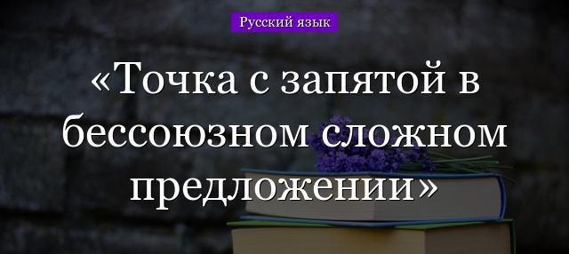 Точка с запятой в бессоюзном сложном предложении