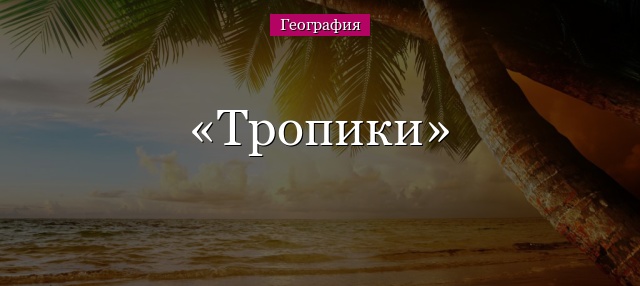 Тропики