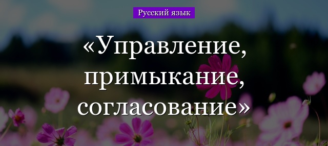 Управление, примыкание, согласование