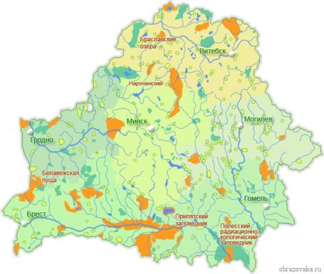 В какой природной зоне расположена Беларусь