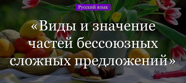 Виды и значение частей бессоюзных сложных предложений