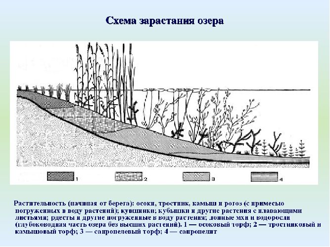 Виды озер