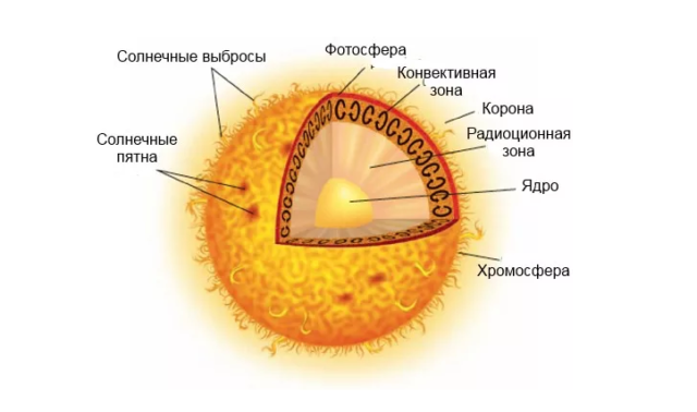 Внутреннее строение Солнца