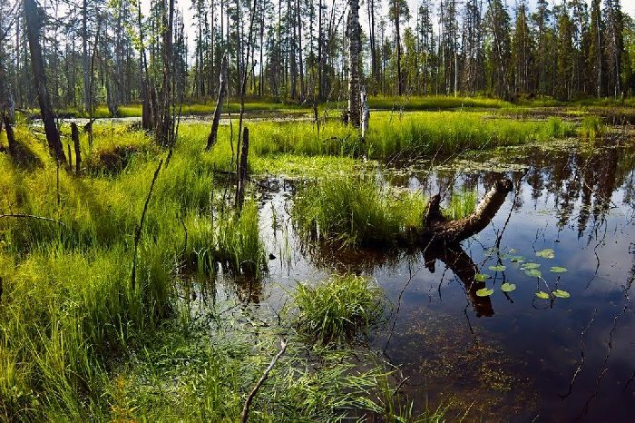 Внутренние воды Восточно-Европейской равнины