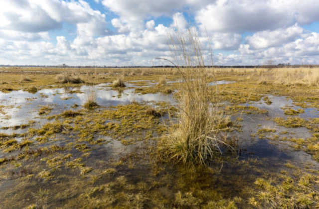 Водоупорные горные породы