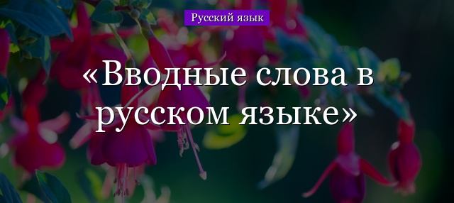 Вводные слова в русском языке