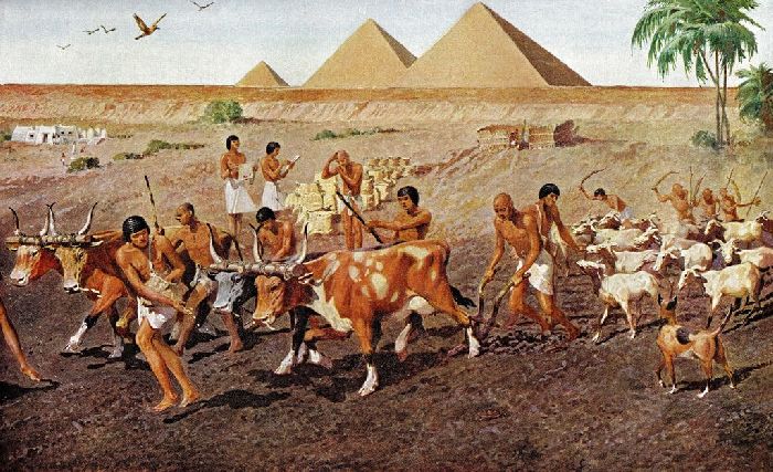 Земледелие в Древнем Египте