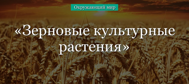 Зерновые культурные растения