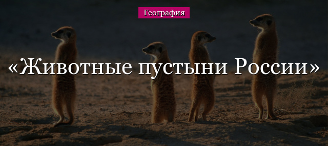 Животные пустыни России
