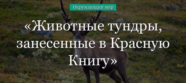 Животные тундры, занесенные в Красную Книгу